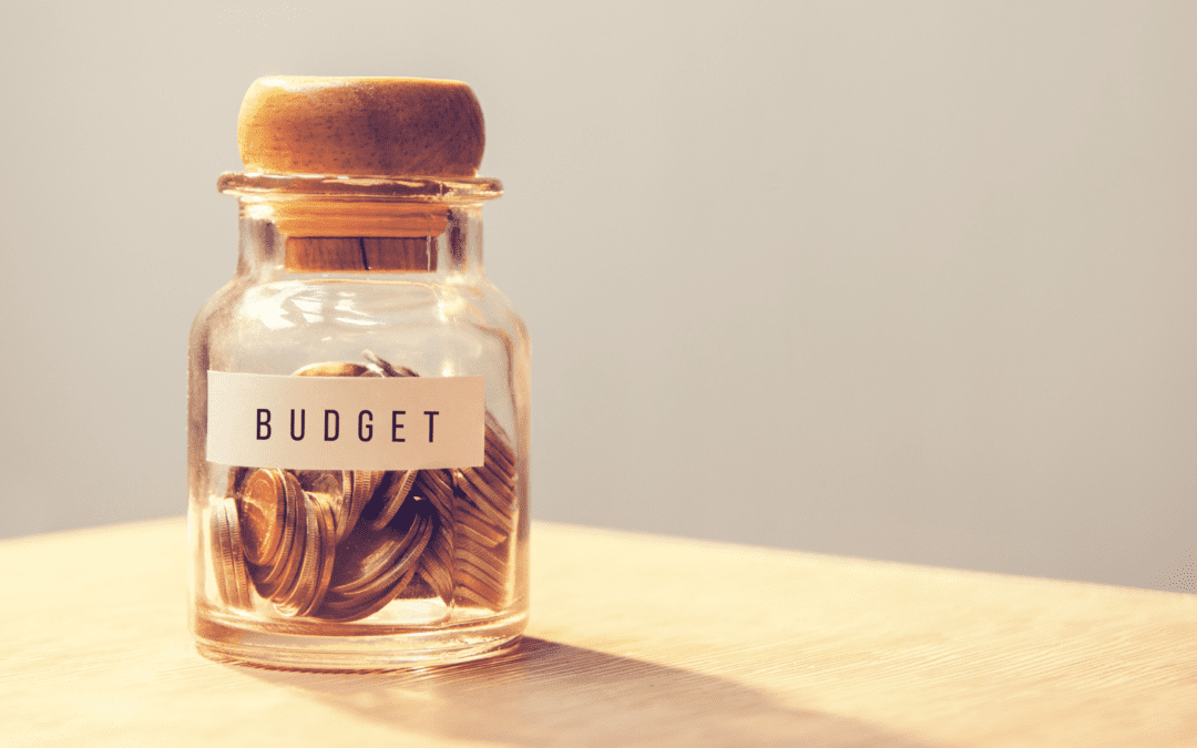Grocery Budget: A Simple Lesson For Kids