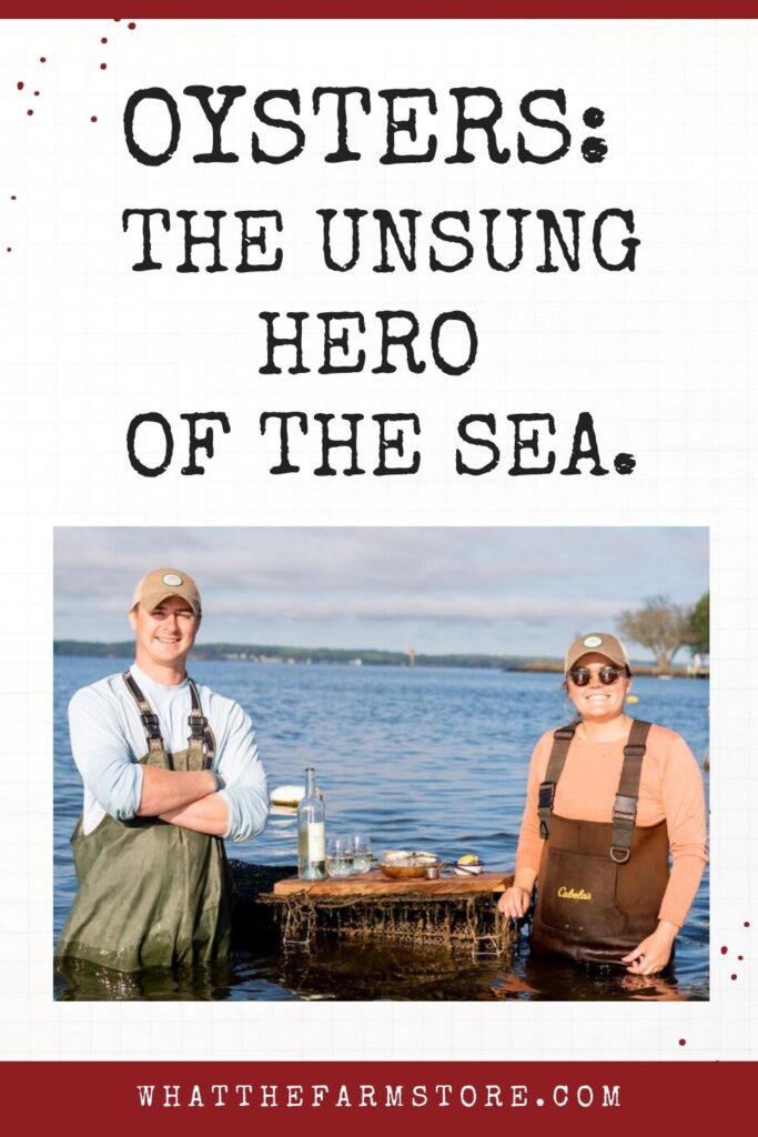 What the Farm Blog Oysters: The Unsung Hero Of The Sea 