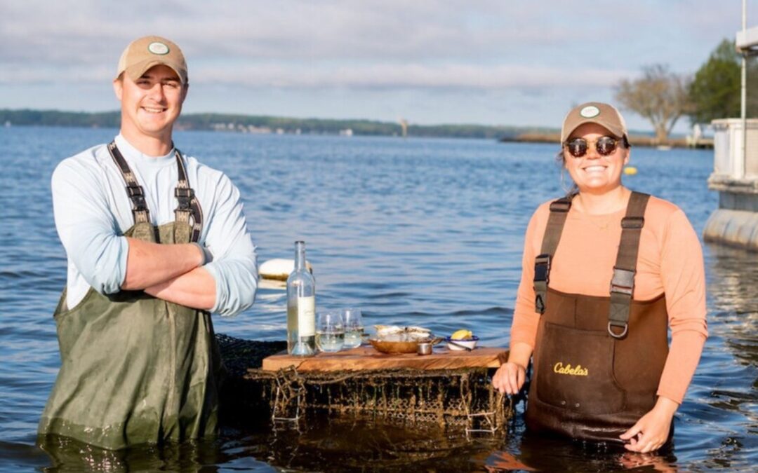 Oysters: The Unsung Hero Of The Sea.