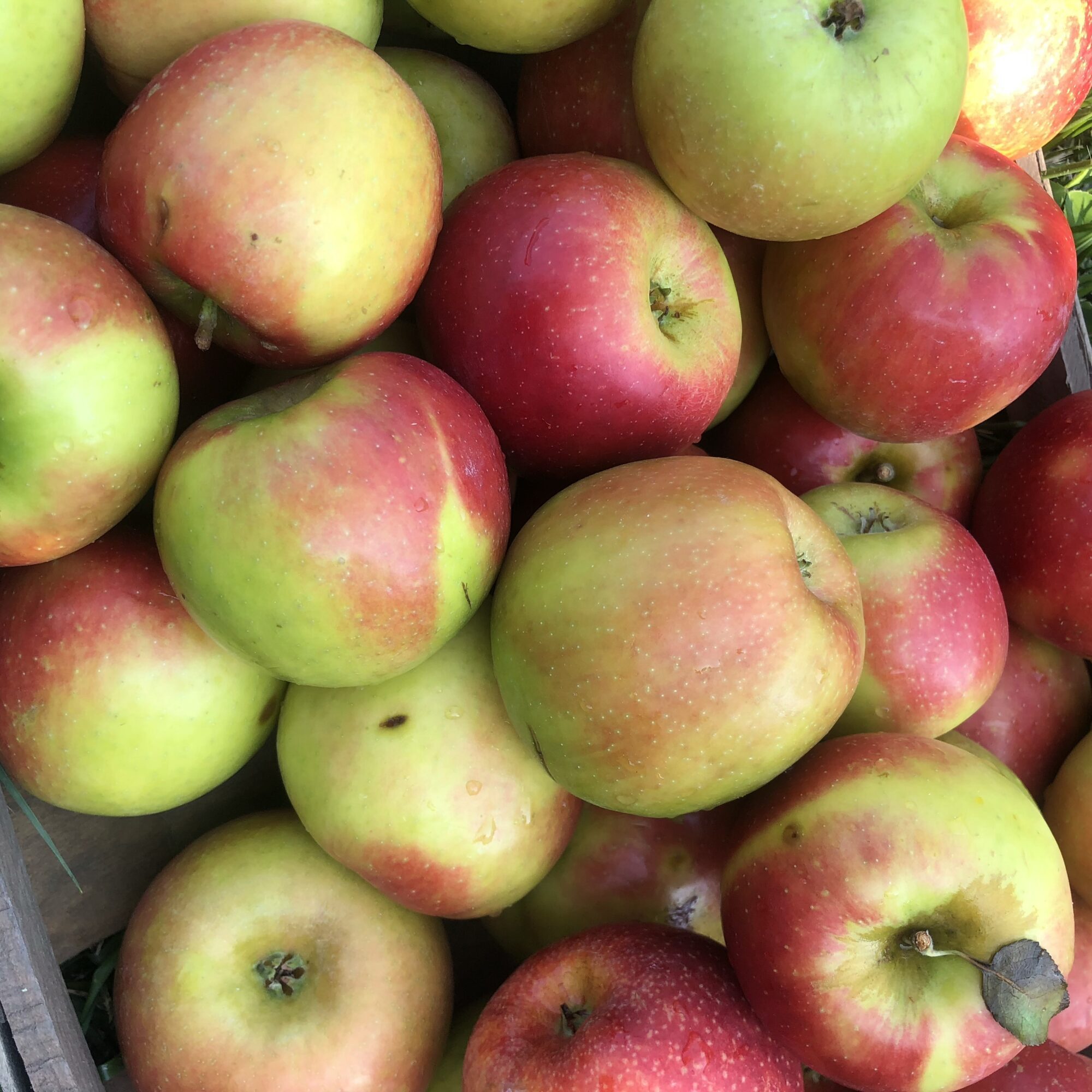 apple butter recipe from What the Farm