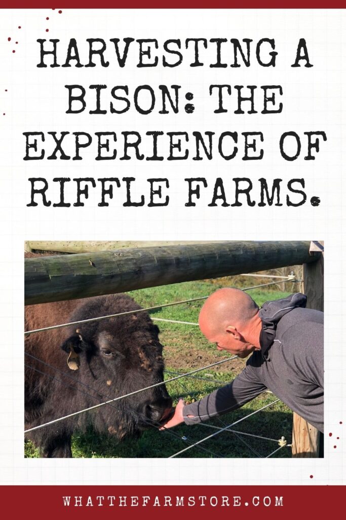 Chris with Bison at Riffle Bison Farm