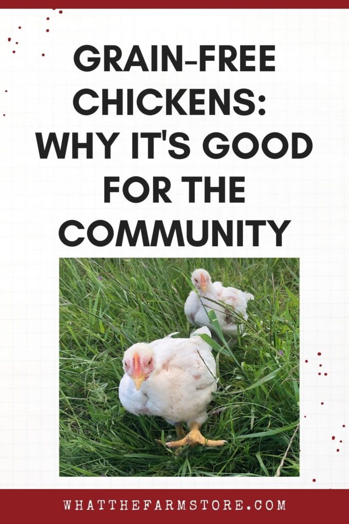 Raising Grain-Free Chickens by What the Farm 