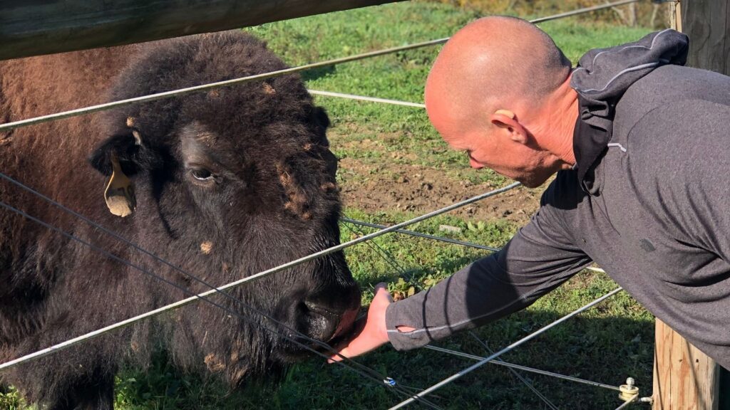 Chris with bison at Riffle Bison Farm