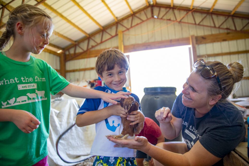 Kids Farm Camp - What The Farm, Virginia Beach, VA